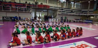 pallavolo mondovì