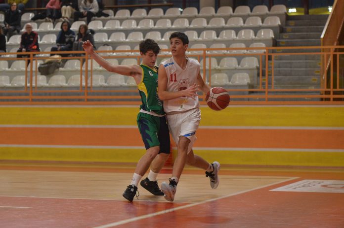 basket savigliano