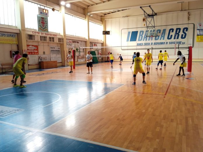 pallavolo a savigliano