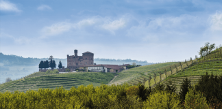 Langhe-Roero e Monferrato