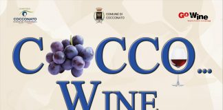 Cocco...Wine