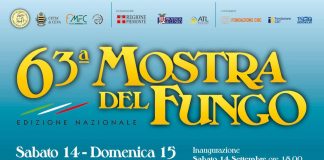 Mostra nazionale del Fungo ceva