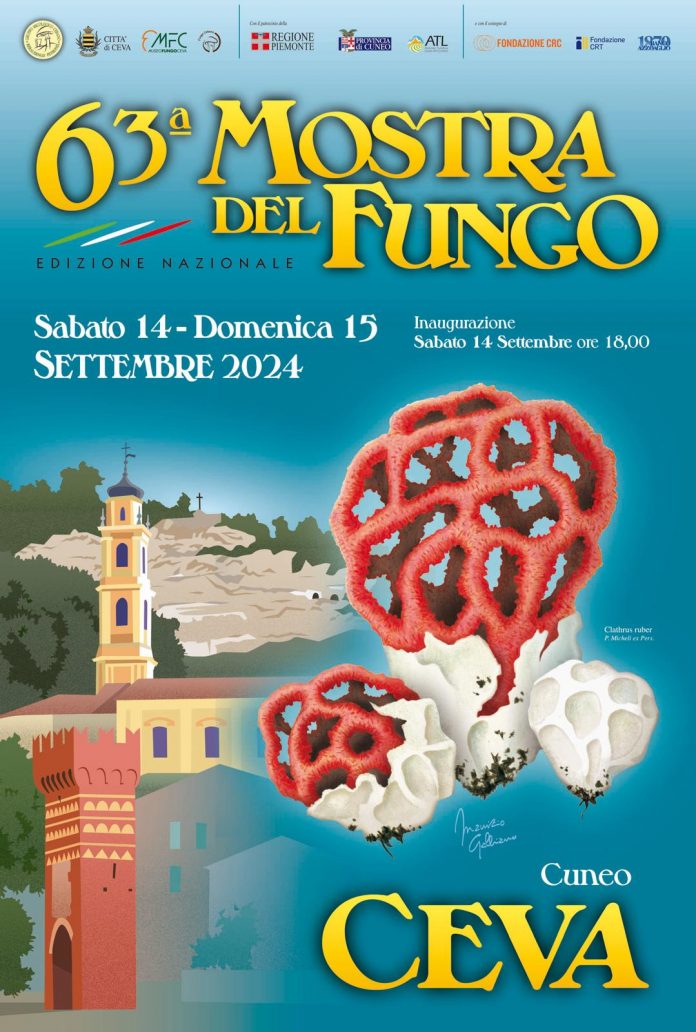 Mostra nazionale del Fungo ceva