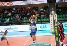 cuneo volley